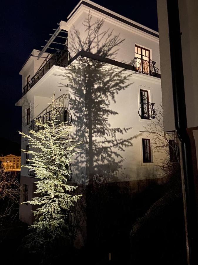 Vila Maister Celje Exterior foto